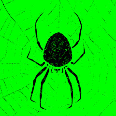 spider on a web on a green background