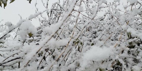 snow on the wall