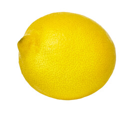  Single lemon fruit isolated on a white background
