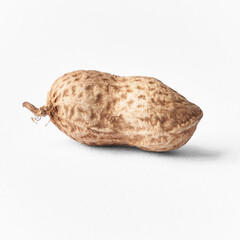  Single peanut with shell isolated on a white background