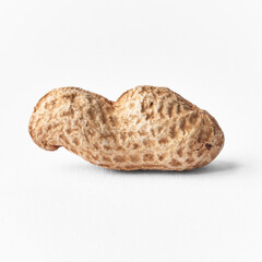 Single peanut with shell isolated on a white background