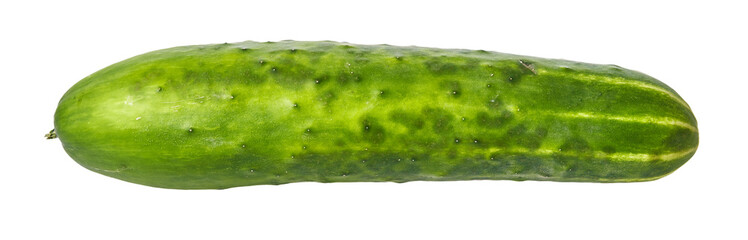  Single cucumber isolated on a white background