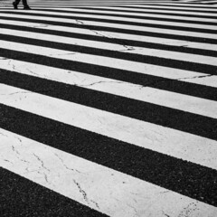 横断歩道