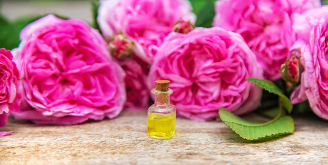 Fototapeta na wymiar Rose essential oil in a small bottle. Selective focus.