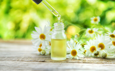 Chamomile essential oil in a small bottle. Selective focus.