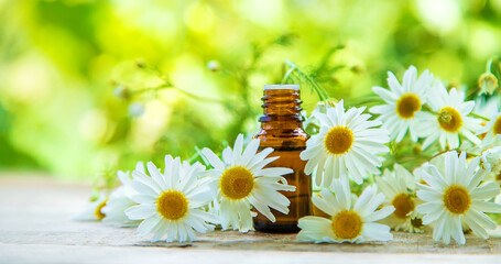 Chamomile essential oil in a small bottle. Selective focus.