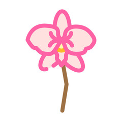 orchid aroma flower color icon vector. orchid aroma flower sign. isolated symbol illustration