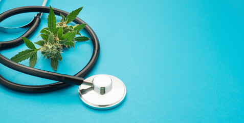 Cannabis buds flower and stethoscope isolated on a blue background