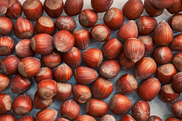 Healthy natural hazelnuts. Raw nuts texture