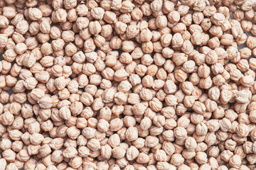 Natural and raw chickpeas. Fresh legumes close up