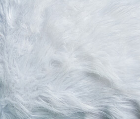 Beautiful fur texture image