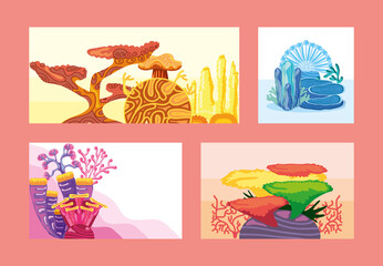 corals reef banner