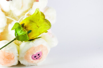 one yellow flower on the lap of a white teddy bear with an isolated white background.