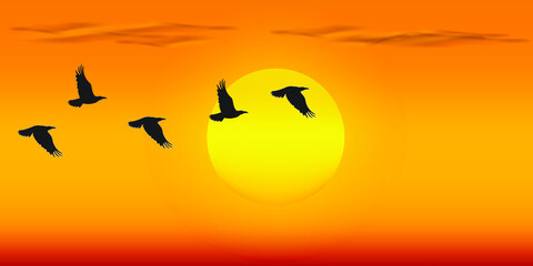 Birds flying in the sunset. Flying swans against dramatically sunset sky, beautiful sunset. 