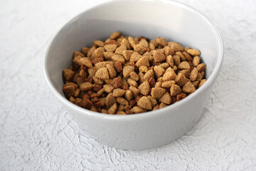 Dry food for cats and dogs. Pet food in a stylish bowl. Gray background.