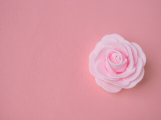 Rose sur fond rose - délicatesse, féminité et amour