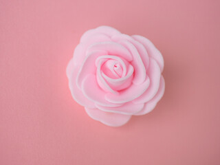 Fototapeta na wymiar Rose sur fond rose - délicatesse, féminité et amour