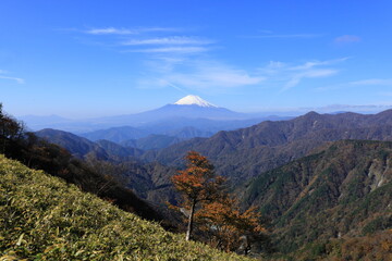 丹沢山塊から見る富士山