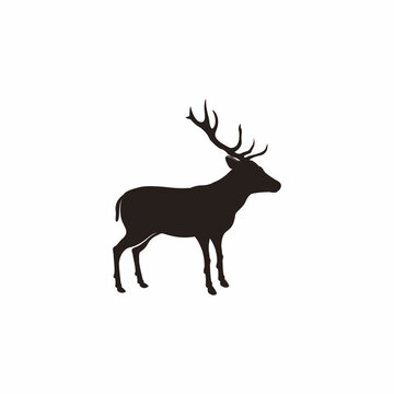 deer vector graphics illustration image