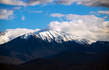 Foggy Autumn Coniferous Forest Landscape aerial view background