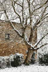 Winterliche Landschaft mit Schnee in Frankreich