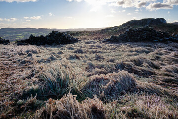 Light glinting throughout ice rime on reeds, Loughrigg Fell, Ambleside, Lake District, UK
