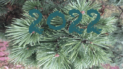 christmas tree branches