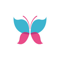 butterfly logo icon design template vector