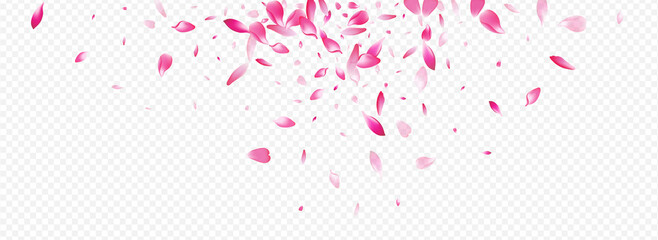 Color Lotus Vector Panoramic Transparent