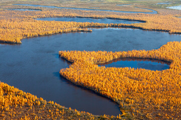 Air photo of the lakes in the autumn forest