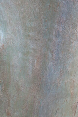Natural grey wooden tree trunk background vertical image
