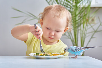 child eats next to a budgie. The concept of caring for pets.