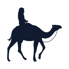 wizard king on camel