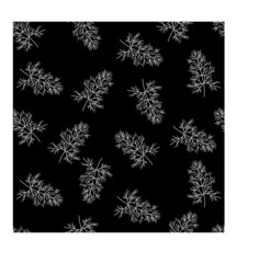  background pattern white pattern of plants, dill on a black background 