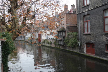 Fototapeta na wymiar Canal à Bruges e hiver