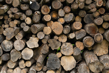 Firewood stack