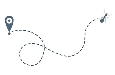 Tracking ants isolated on white background. Single ant moving in mapping signs . Design flat nature elements.