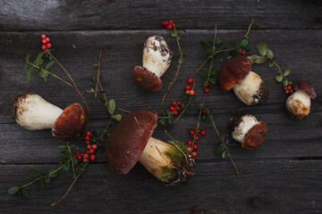 autumn mushrooms and berries are scattered on a wooden surface