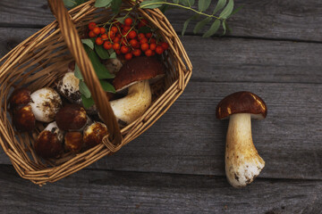 mushrooms in a basket on a wooden table, top view