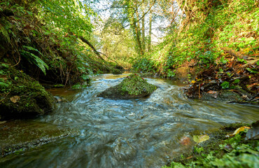 Naklejka na ściany i meble Large rock in the middle of a stream