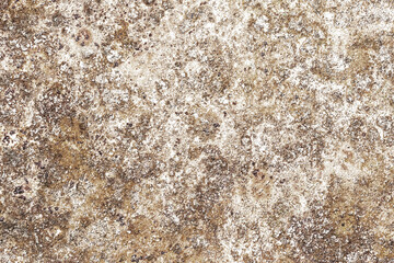 Grunge rust background. Scratched metal texture. Peeling paint background. White rusty brushed iron sheet. Cracked steel pattern. Industrial backdrop for graphic design.