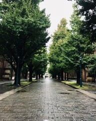 One rainy afternoon at a university in Tokyo, Japan.
