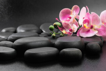 Fototapeta na wymiar Spa stones and flowers on black background .