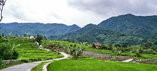 fresh countryside hills view with cloudy weather