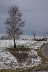 Winter Landschaft im Siegerland und im Sauerland in Südwestfalen mit grünen Wiesen und durch...