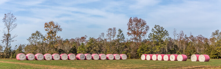Panoramic view of a row of cotton bails along the road in Flomaton, Alabama. 