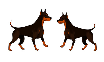 Two Dobermans cartoon