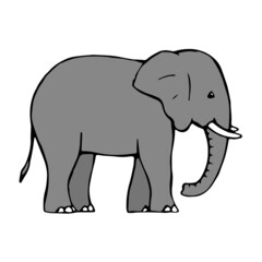 Drawing of a baby elephant on a white background. Drawn doodle sketch in ink. Wild mammal animal. Vector isolated illustration
