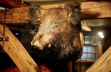  Christmas medieval market in Munich: a kiosk selling roasted meat exposes an embalmed wild boar...