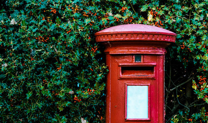 Obraz premium A British Red Post Box in front of a holly hedge row